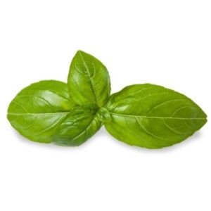 BASEL LEAF - 100g