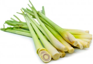 LEMON GRASS - 250g