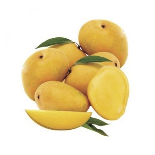 Mango Safeda - 800gm-1Kg