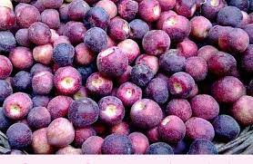 FALSA - 250g