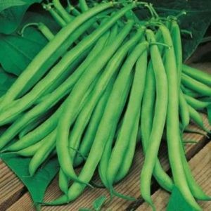 FRENCH BEANS -(approx450g - 500g)