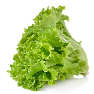 GREEN LETTUCE (Salad) - (180g-200g)