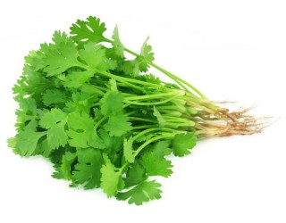 CORIANDER (DHANIYA) - APPROX 250gm