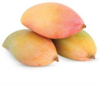 Mango Totapuri - (500 - 600 gm)