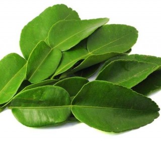 LEMON LEAVES - (100-150GMS)