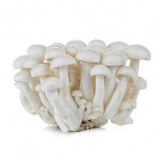 WHITE SHIMEJI MUSHROOM - (125 GM ) 1 PKT