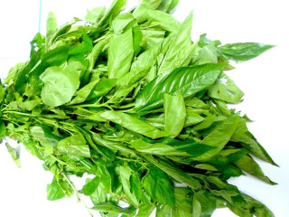 patha saag (approx 450-500)
