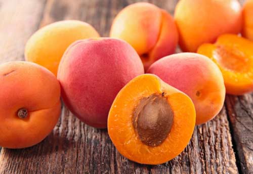 APRICOT LADAKH PKT