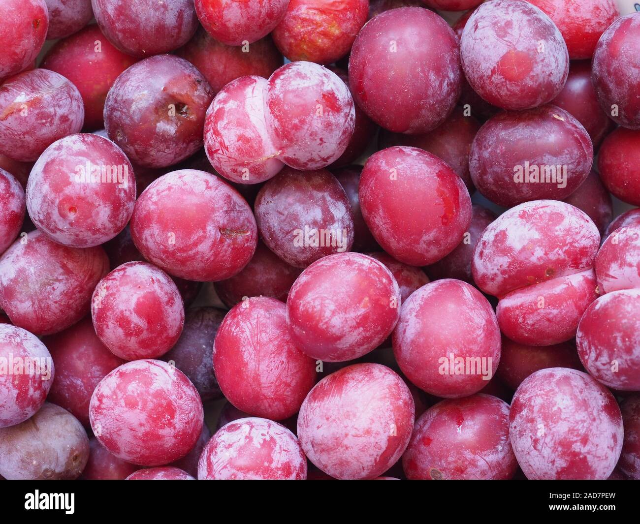 PRUNE IMP A GRADE