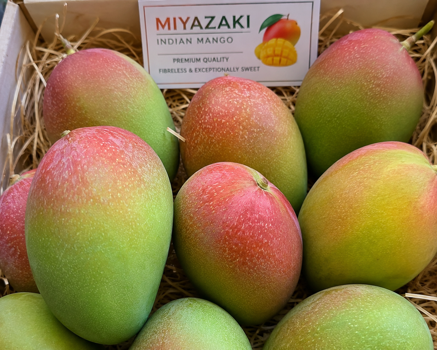 MANGO MIYAZAKI