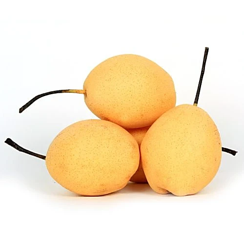 PEAR SHANDONG