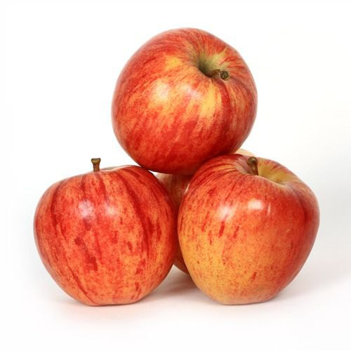 APPLE TURKEY GALA