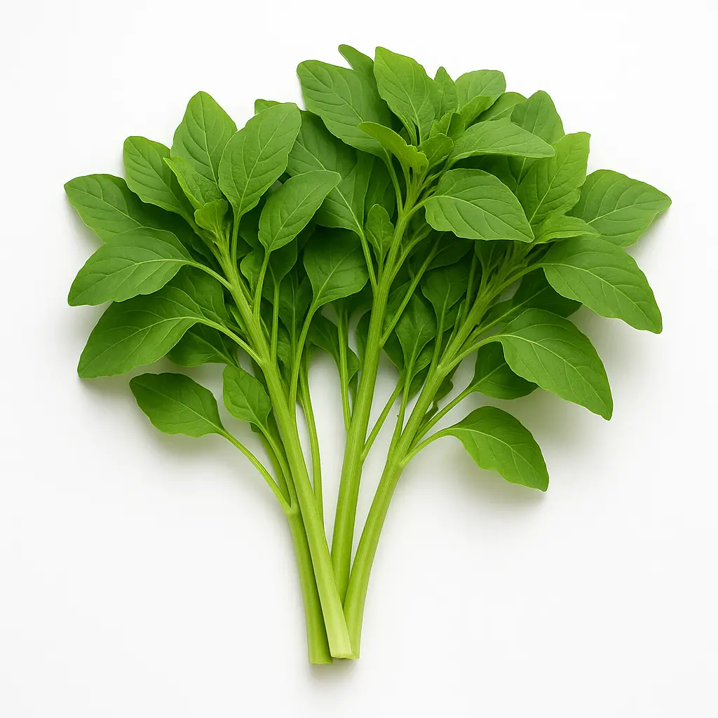 GREEN CHOLAI A GRADE 450-500GM