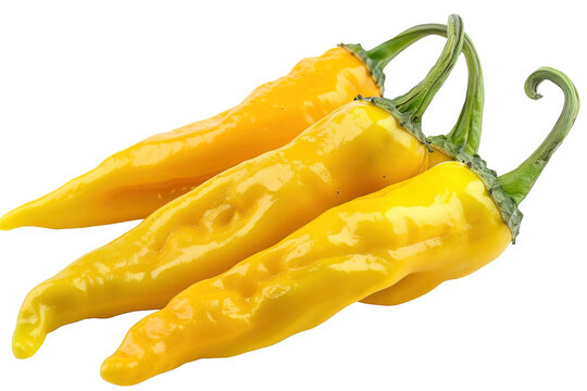 AJII AMARLILLO CHILL YELLOW200-250GM