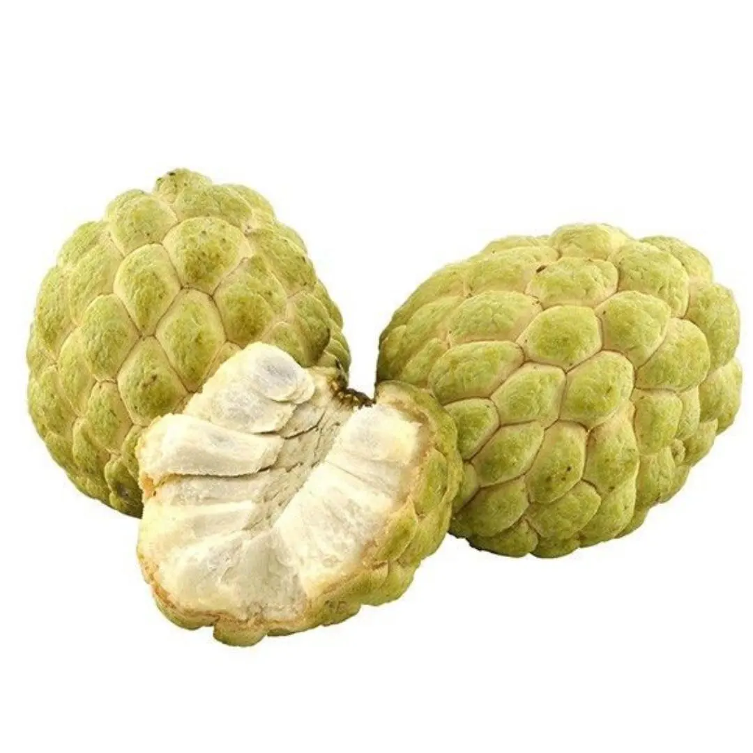 GOLDEN SHARIFA 550-600GM