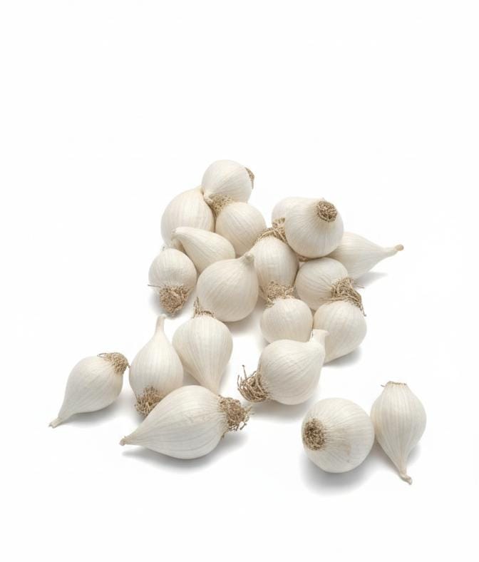 GARLIC SINGLE -300GM