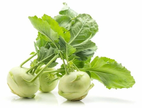 GANTH GOBHI 450-500 GM