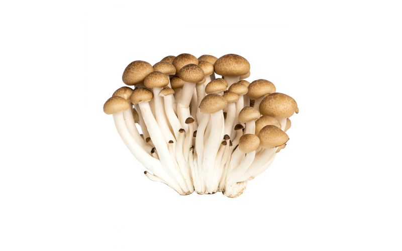 BROWN SHEMLJI MUSHROOM -125GM