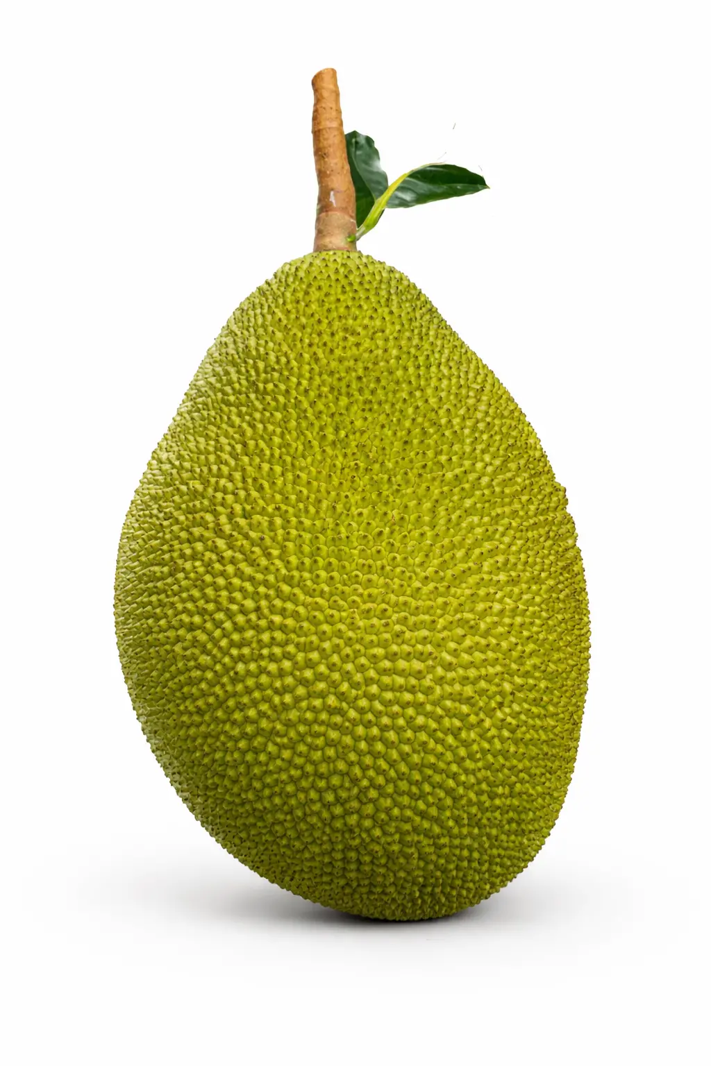 Sabut Kathal A Grade (1 kg - 1.2 Kg)