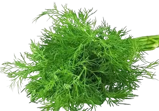 SOYA SAAG A GRADE 450- 500gm