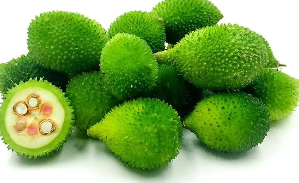 KAKORA  A GRADE 250-300GM