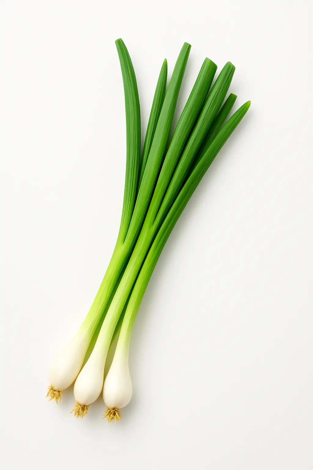 GREEN GARLIC 80-100gm
