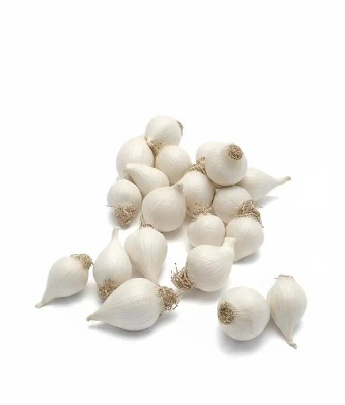GARLIC SINGLE -300GM