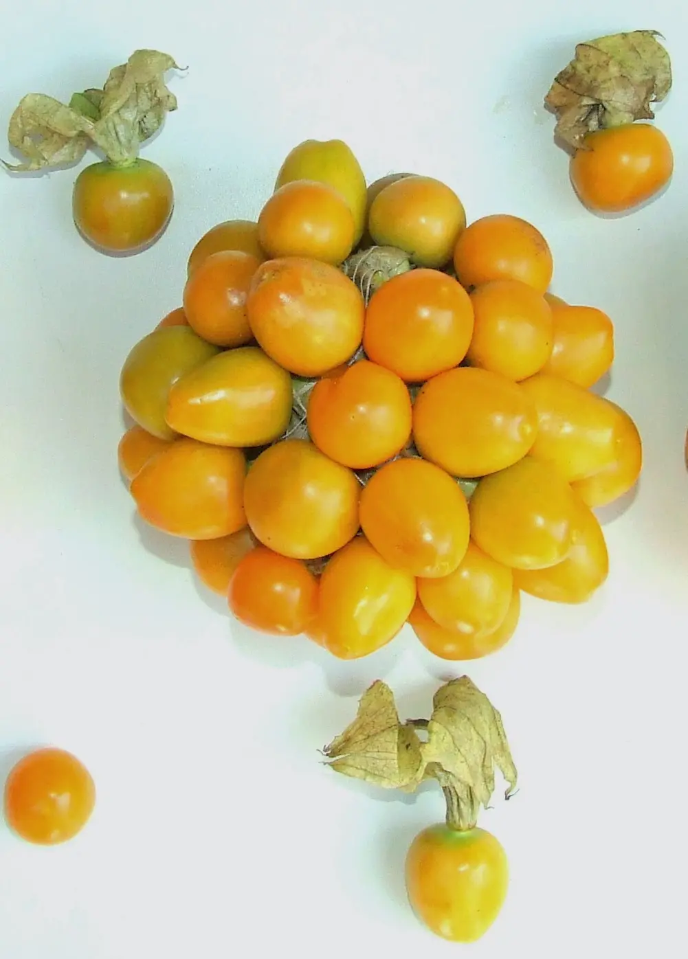 RASPBERRY YELLOW 300-350 GM