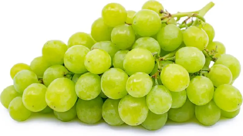 GREEN GRAPES NASIK 250-300GM