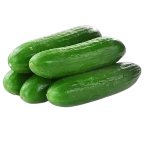 CUCUMBER HILTON 500-600GM