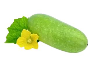 WHITE PETHA SMALL A GRADE  2-2.5KG