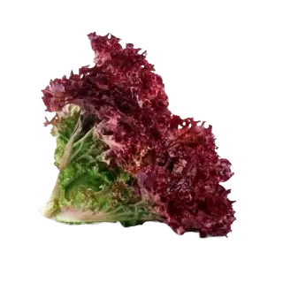 RED SALAD A GRADE 220-250GM