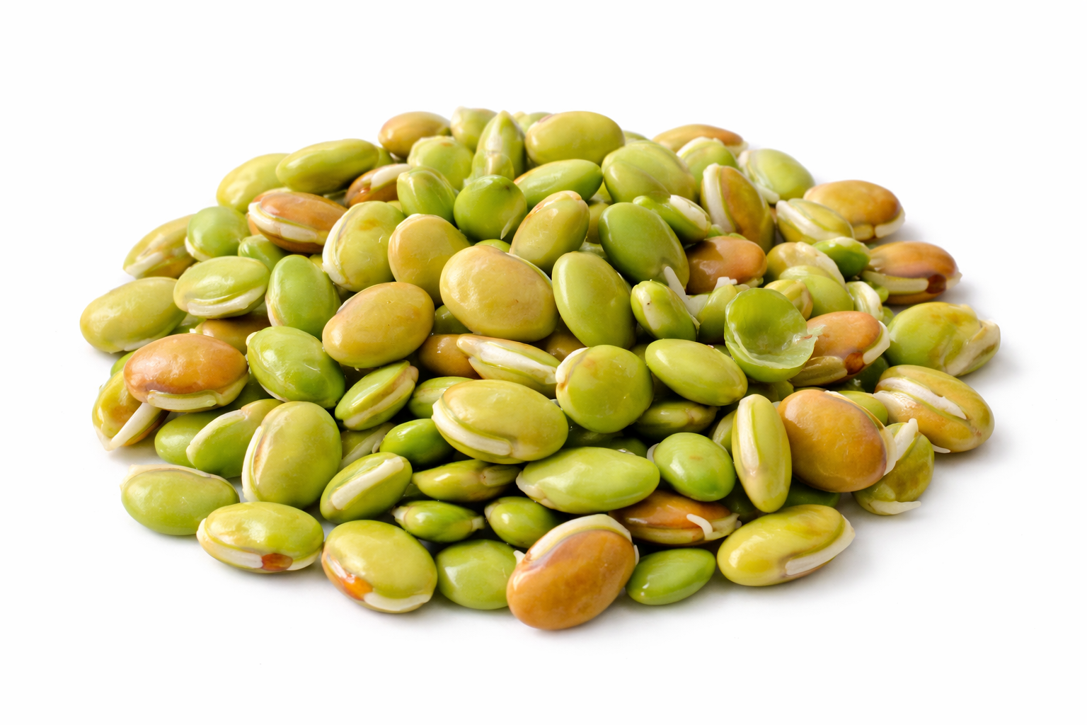 Sem Dana A Grade (Hyacinth Bean Seeds)